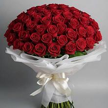 Букет 101 Красная роза Блэк Мэджик в Уркарахе