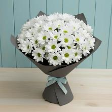 Букет цветов из:  Хризантемы #REPLACE_PRED# Уркарахе