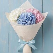 Букет цветов из:  Гортензия в Уркарахе