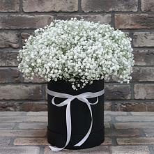 Цветочная композиция из Гипсофила в шляпной коробке в Уркарахе