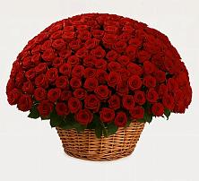 Премиум букет из: Розы в Уркарахе