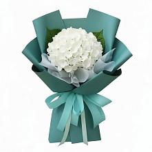 Букет цветов из:  Гортензия в Уркарахе